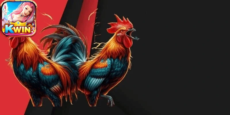 Giao diện đá gà kwin hiện đại và thân thiện người dùng